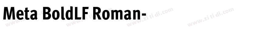 Meta BoldLF Roman字体转换 Meta BoldLF Roman字体转换